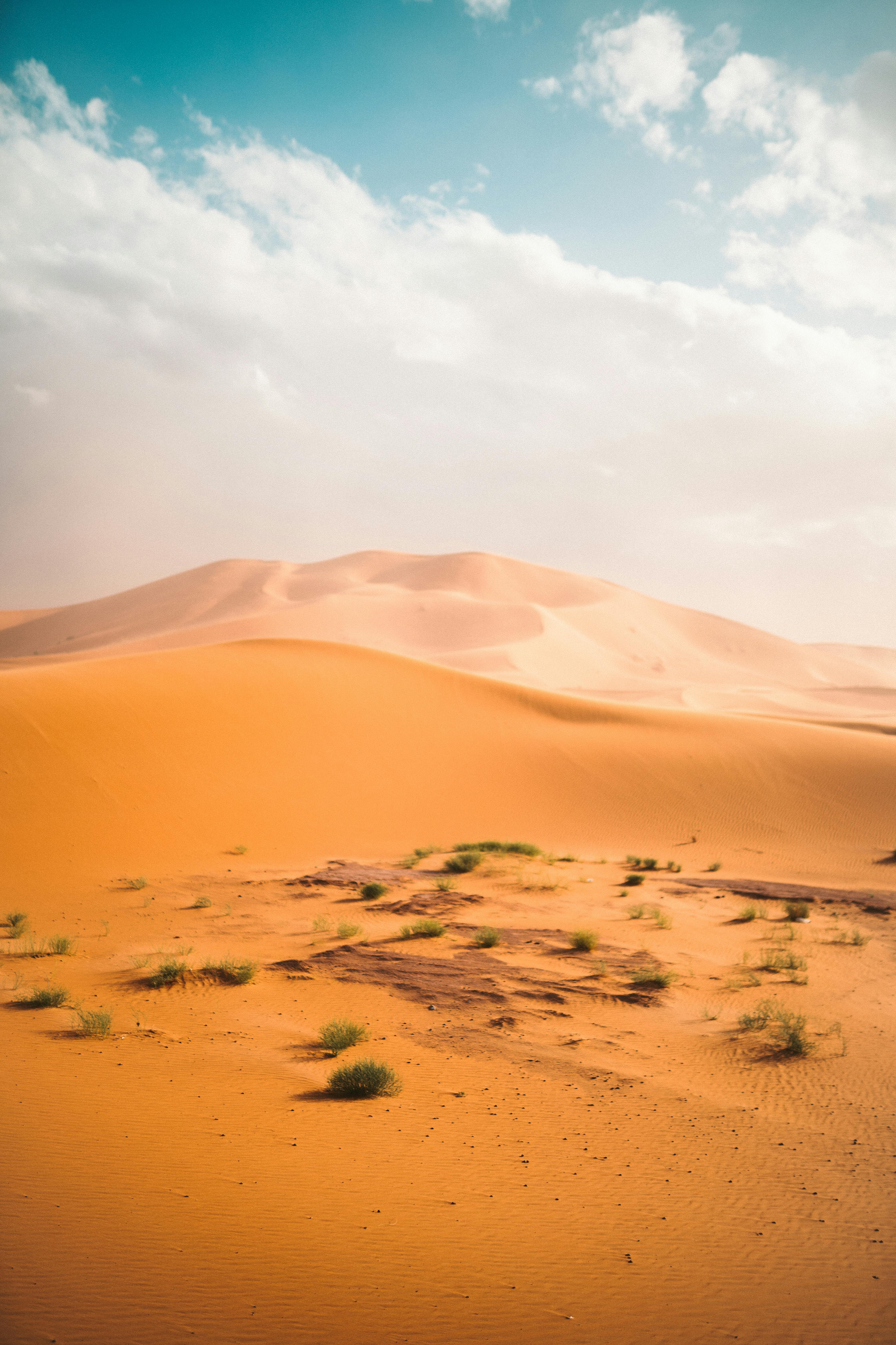 The Sands