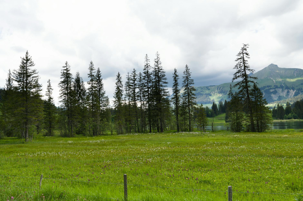 Wanderlust (A Sojourner's Being)