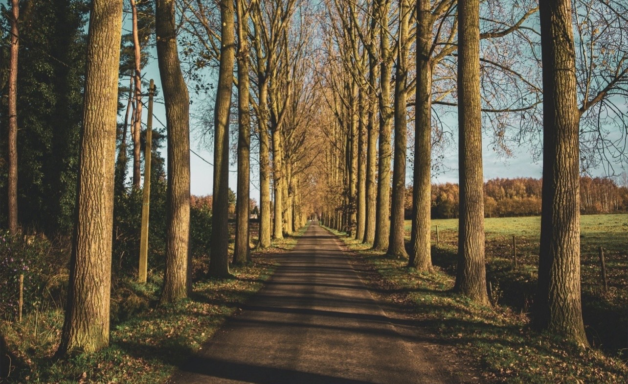 If Tomorrow Were To Start Without Me (prima pars)